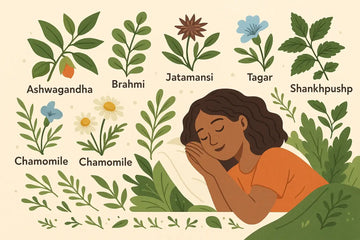 Ayurvedic Herbs That Improve Sleep Quality