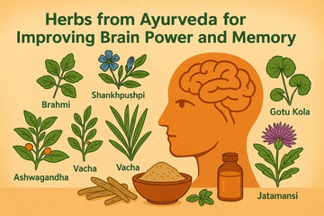Ayurvedic Herbs for Boosting Brain Power & Memory