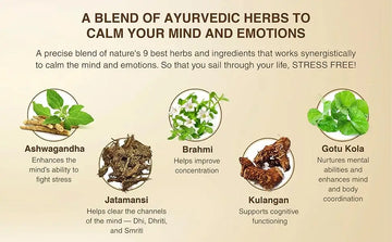 How Does Ayurveda Help Balance Body and Mind  Vaghveda