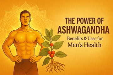 The Power of Ashwagandha: Benefits & Uses for Men’s Health