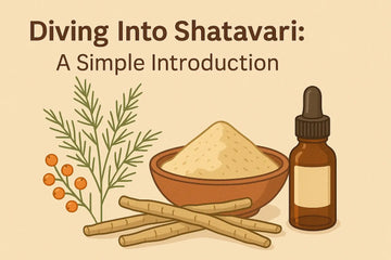 Shatavari for women’s health