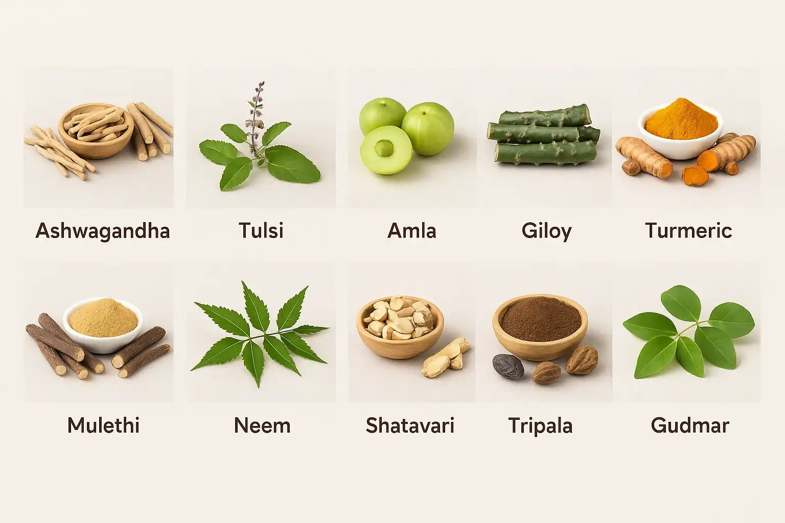 Top 10 Ayurvedic Herbs for Boosting Immunity