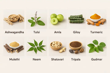 Top 10 Ayurvedic Herbs for Boosting Immunity