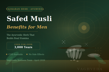 Safed Musli Benefits for Men: The Ayurvedic Herb That Builds Real Stamina