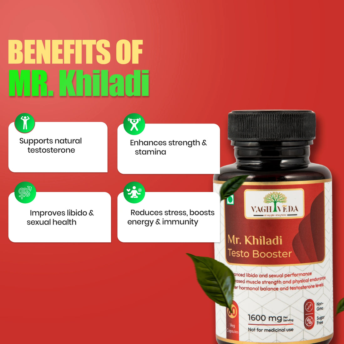 Mr. Khiladi  by Vaghveda – Natural Vitality & Strength Redefined